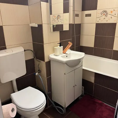 Apartment Radu Craiova